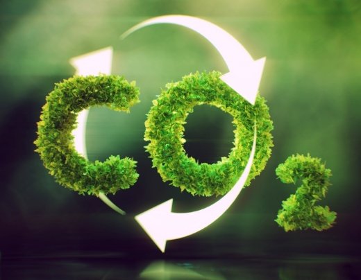 LPF - homepage - projetos 2